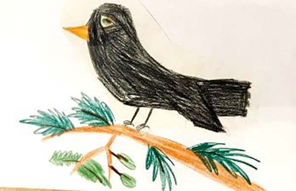 Vogelstimmenwanderung